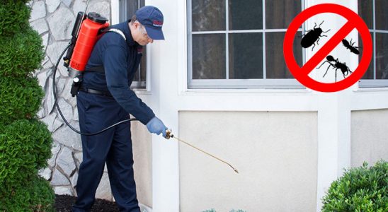 Pursaklar Böcek ve Haşere İlaçlama böcek ilaçlama ve haşere kontrolü — ilaclama-tr.com
